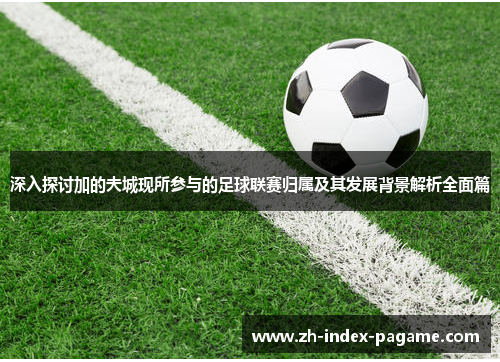 深入探讨加的夫城现所参与的足球联赛归属及其发展背景解析全面篇